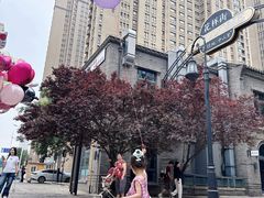 -绿地·中山里