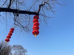 -无锡梅园公园