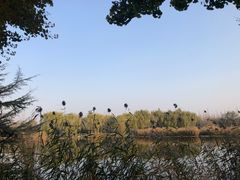 -石家庄市植物园
