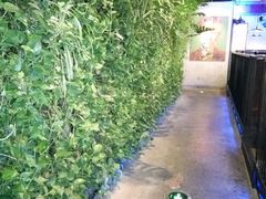 -青年公社烤鸭(蜀山万象汇店)