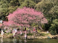 -中国茶叶博物馆(双峰馆区)