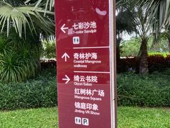 -宝安西湾红树林湿地公园