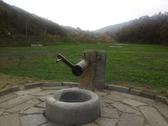 -千年银杏谷文化旅游区