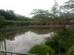 -嘉定紫藤园