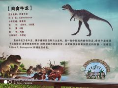 -和府捞面(东直门银座店)