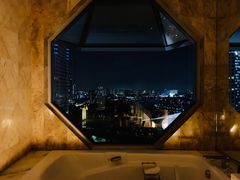 -新加坡丽思卡尔顿美年酒店