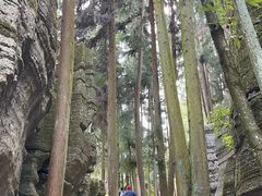 -梭布垭石林景区