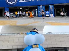-盒马X会员店(王府井奥莱UP TOWN店)