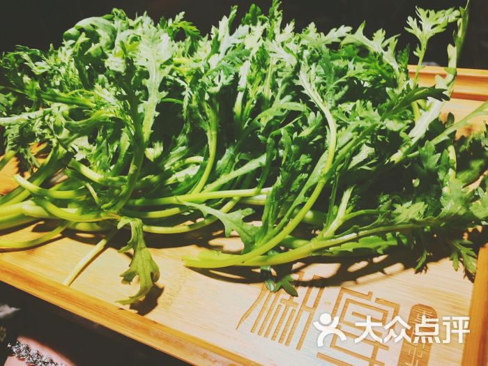 椒宴重庆火锅鲜茼蒿图片 - 第39张