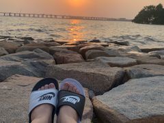 -宝安西湾红树林湿地公园