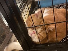 -臻鲜燕海鲜融合餐厅(金陵style店)