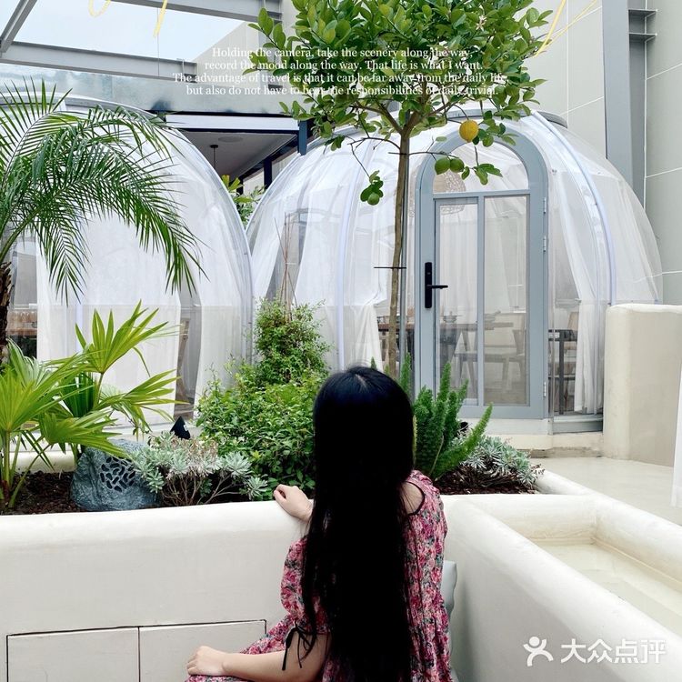 宝龙广场超出片蓝波斯菊椰浆鸡火锅🔥星空泡泡屋