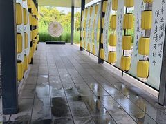 -张坝桂圆林公园