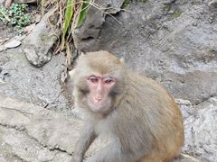 -黔灵山公园