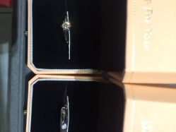 点击看大图 钻石小鸟宁波体验中心-Zbird钻石小鸟·钻戒婚戒定制高端珠宝私人定制中心