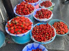 -南坛综合农贸市场