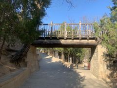 -延安杨家岭革命旧址