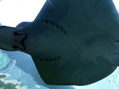 -悉尼海洋生物水族馆