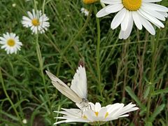 -上海滨江森林公园