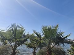 -安宁市宁湖森林公园