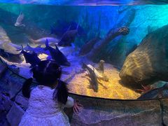 -沈阳海洋探索中心