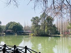 内景-宝岩生态观光园