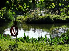 -海珠湖公园
