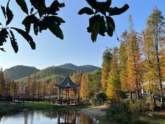 -广州市石门国家森林公园