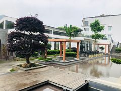 -霁云上院餐厅