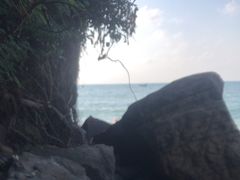 -滴水丹屏