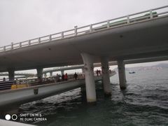 -演武大桥观景平台