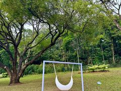 -云溪植物园