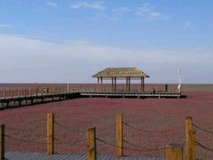 -红海滩国家风景廊道