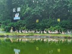 -广州长隆飞鸟乐园