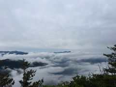 -牛背梁国家森林公园