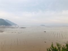 -北岐滩涂
