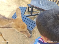 -清远熹乐谷温泉度假酒店