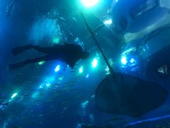 -成都浩海立方海洋公园