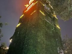 -美的鹭湖森林度假区