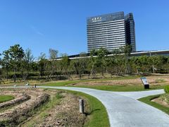 -春花秋色城市公园