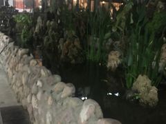 -双喜农庄·菌香园(安居家园店)