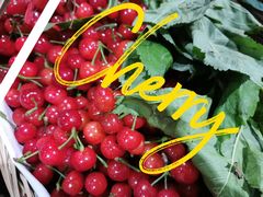 -菜园坝水果市场