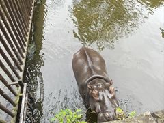 -海南热带野生动植物园