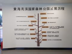 -黄海国家森林公园