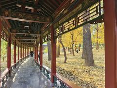 -晋祠公园