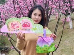 -GANSO元祖食品(锦创书城店)