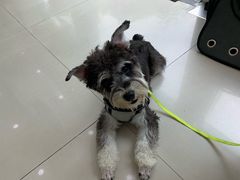 -佳雯宠物医院(金华南路分院)