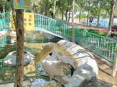 -水上乐园·欢乐世界