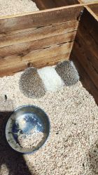 -酷嗒动物文化乐园(cutezoo西溪乐天城店)