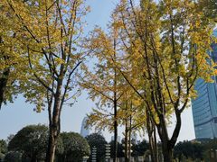 -重庆市江北嘴中央商务区中央公园